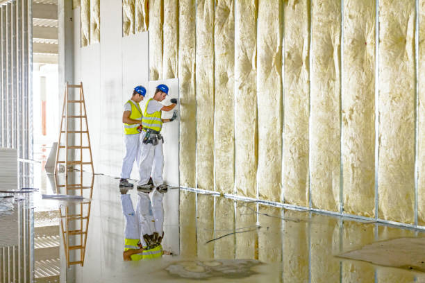 Best Cellulose Insulation in Wyboo, SC